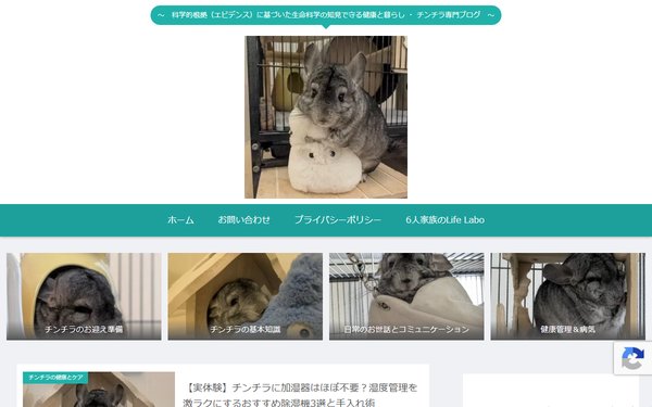 チンチラのぴょん吉