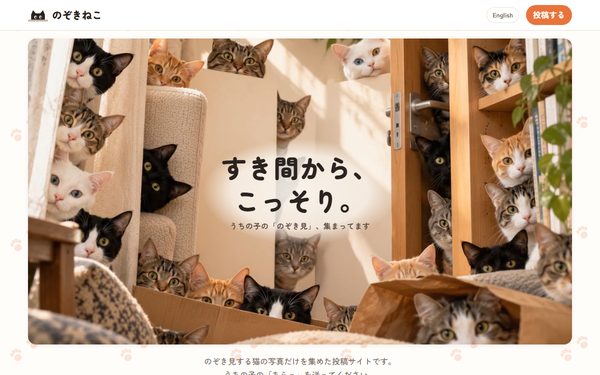 のぞきねこ